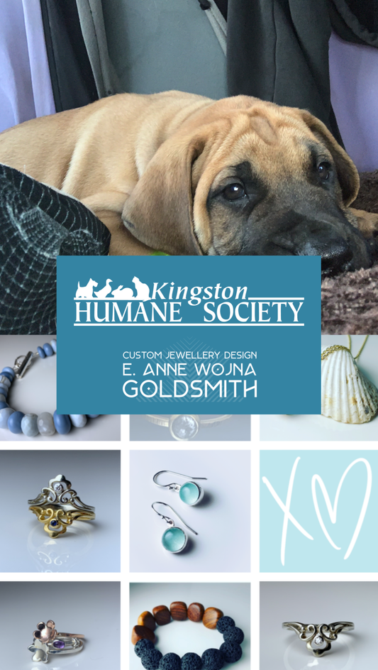 Kingston Humane Society